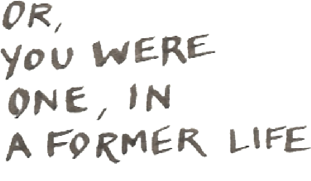 or, you were one, in a former life . . .